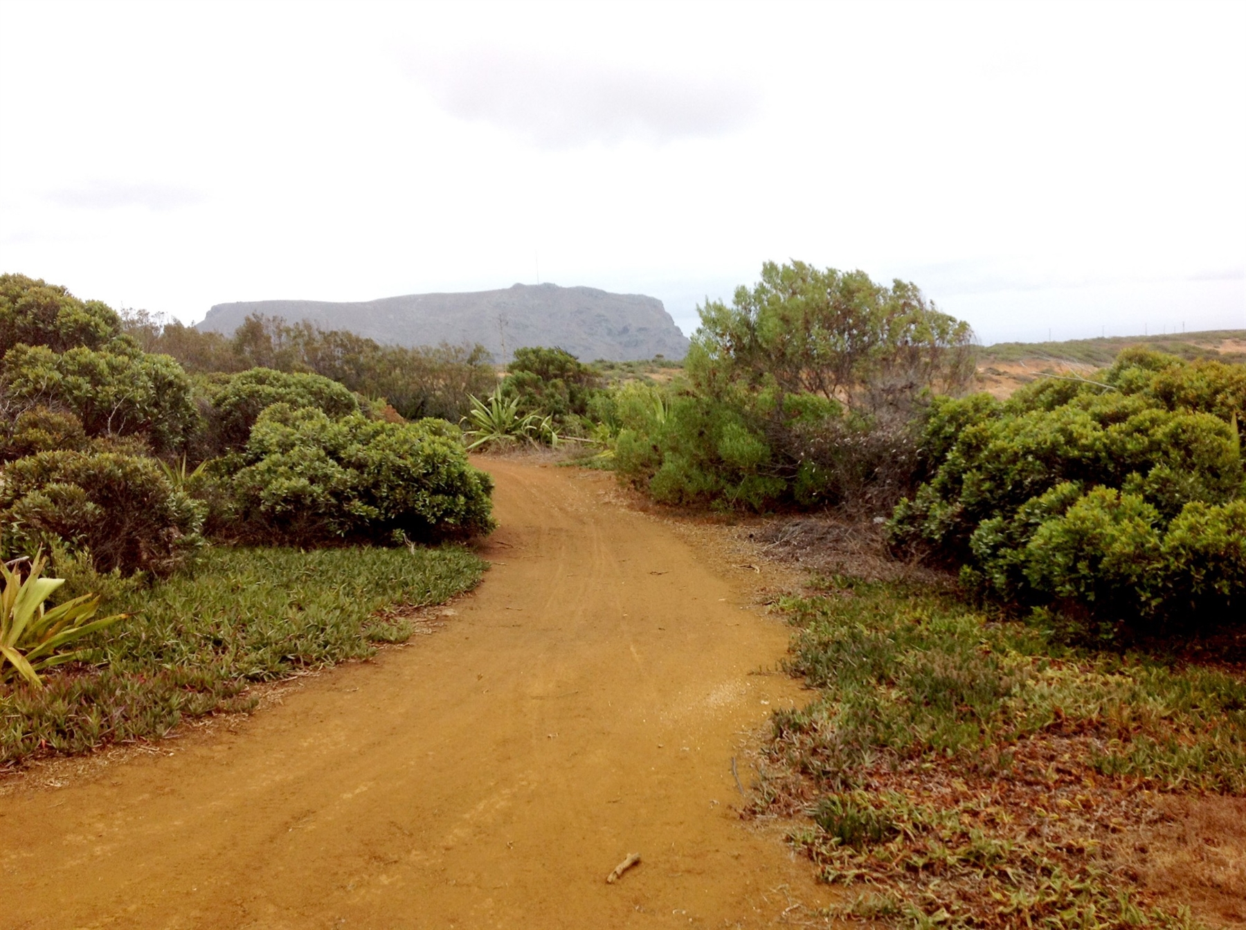 Hill Housing, St Helena